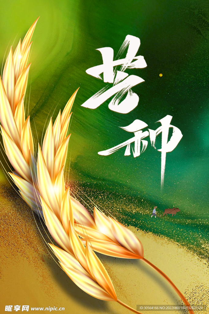 芒种