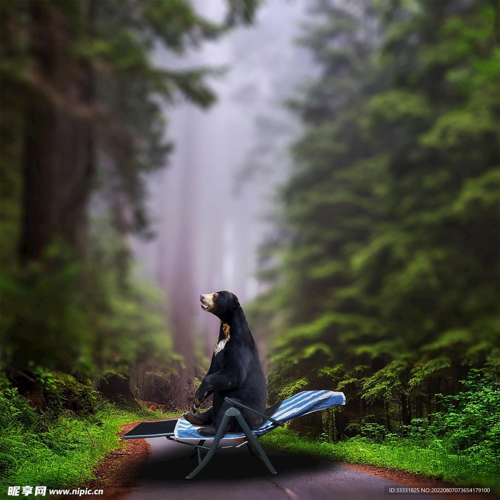 熊