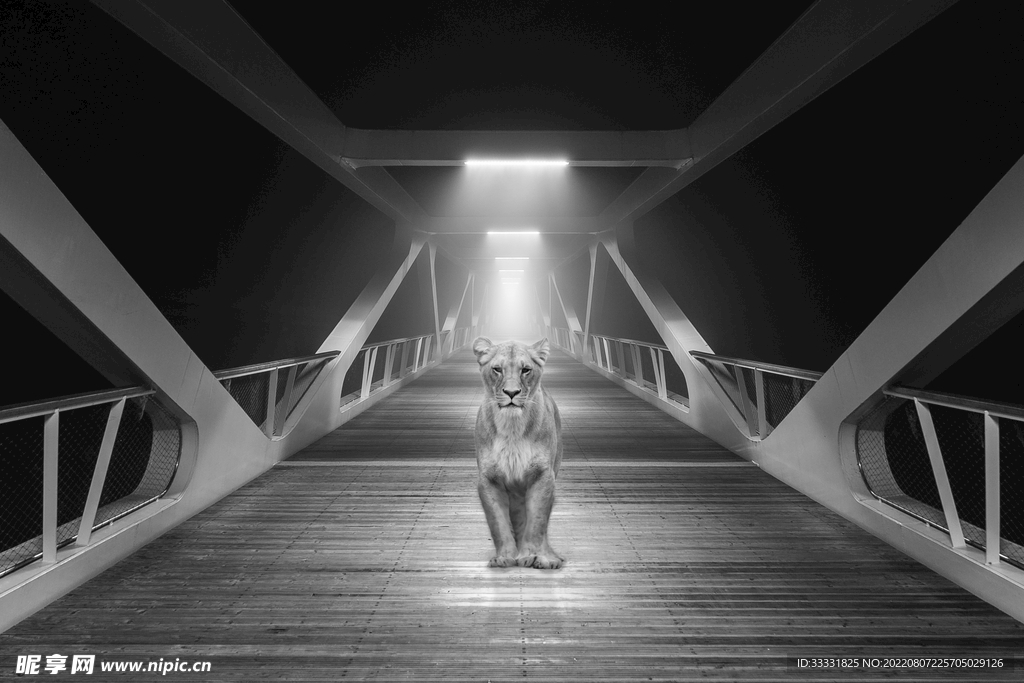 狮子