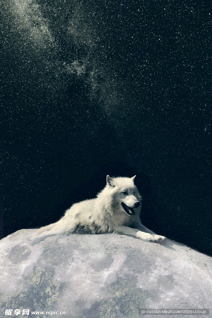 狼