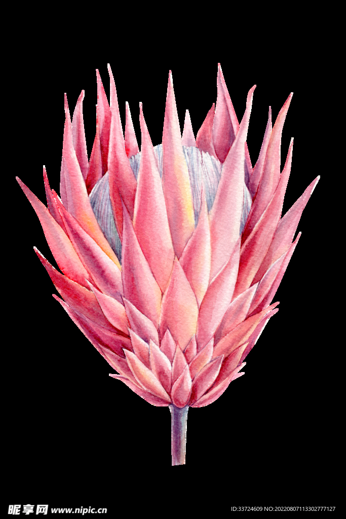 花