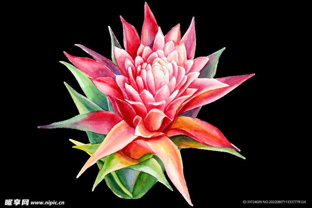 花