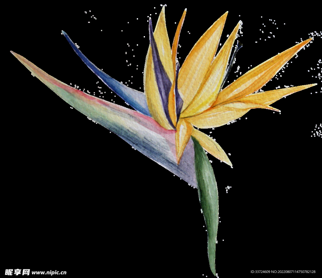 花