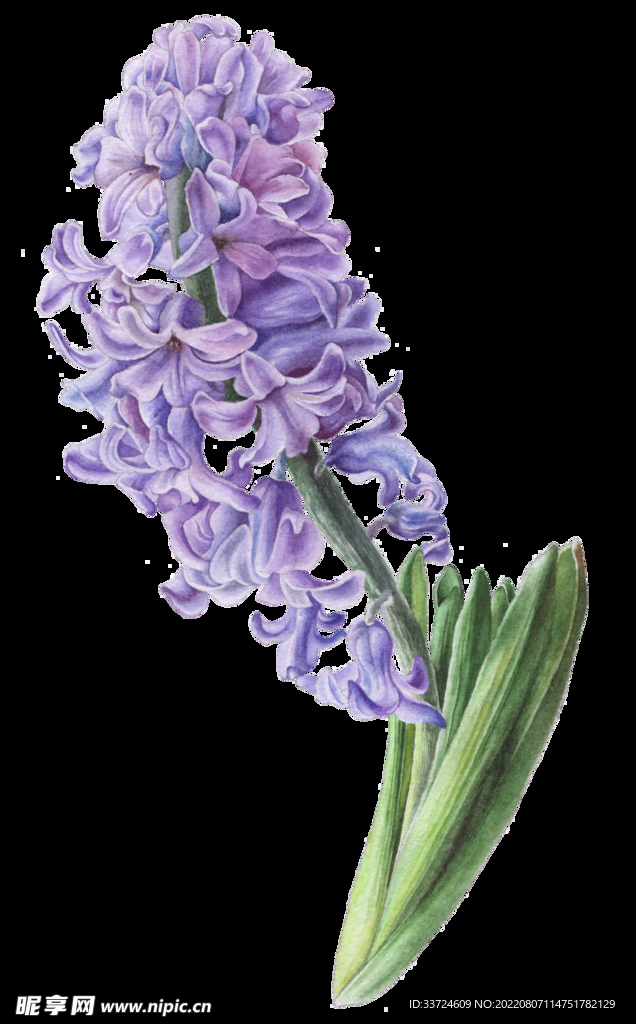 花