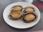 小鲍鱼
