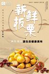新鲜板栗