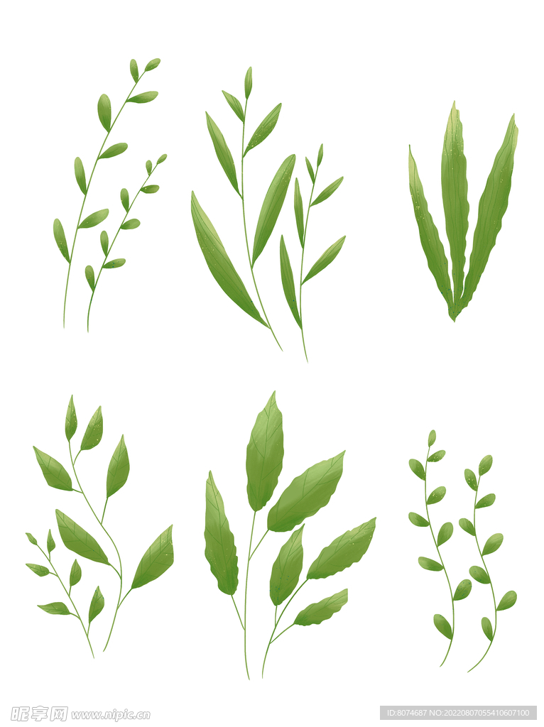植物素材插画