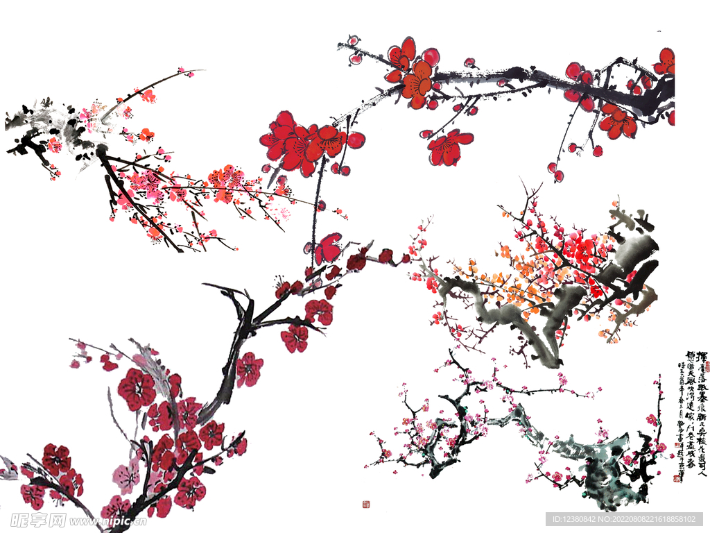 梅花