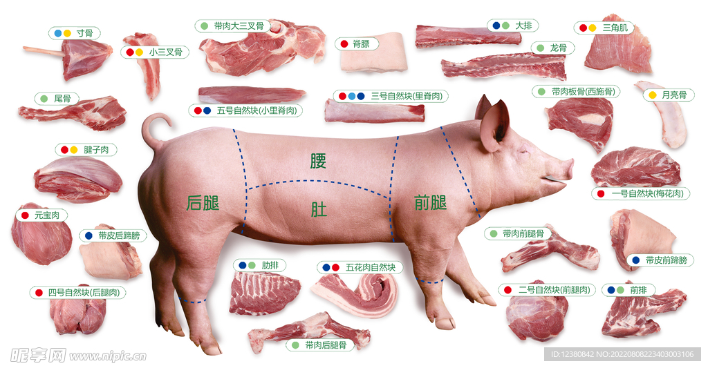 猪肉