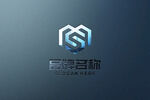 logo样机 标志样机 字体样