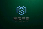 logo样机 标志样机 字体样