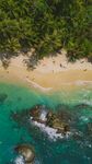 海滩海景大海椰林航拍图小岛礁石