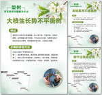 梨树常见修剪问题解决办法海报