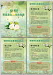 梨树常见虫害及防治方法海报