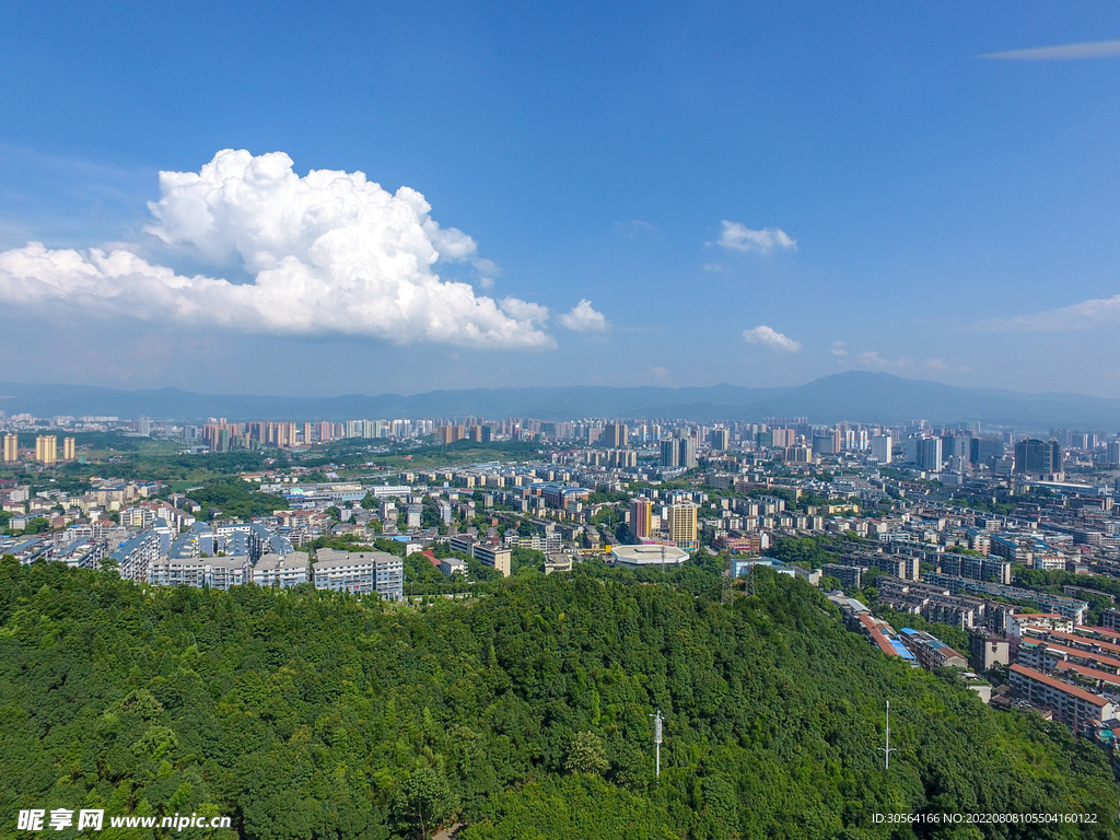 户外城市大楼森林