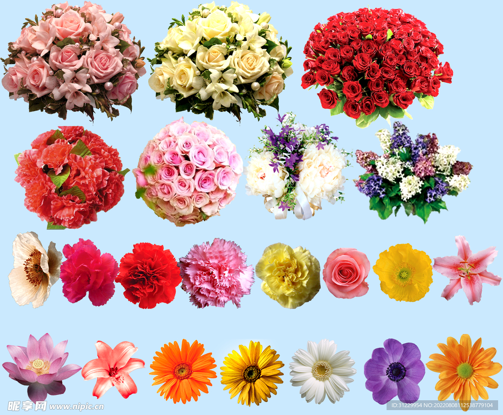 鲜花 