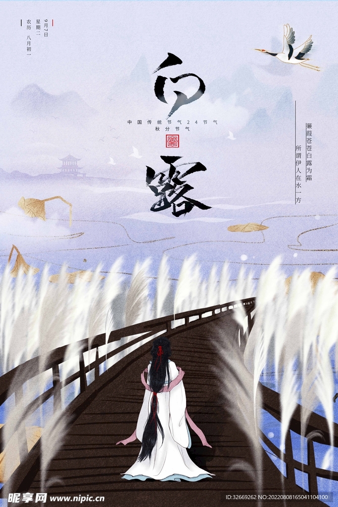 白露
