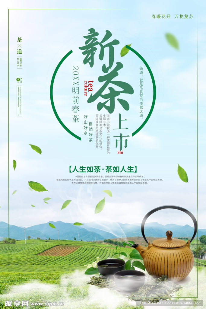 新茶