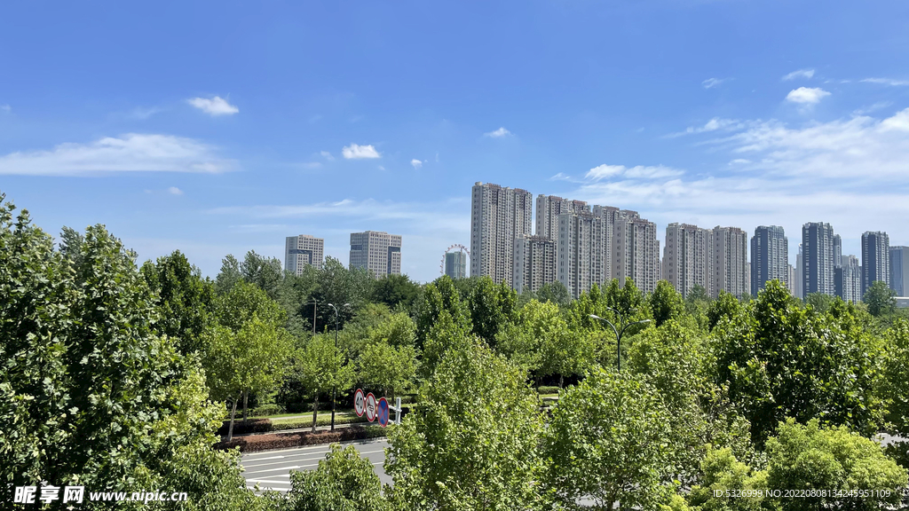 鱼嘴绿植公园河西园 