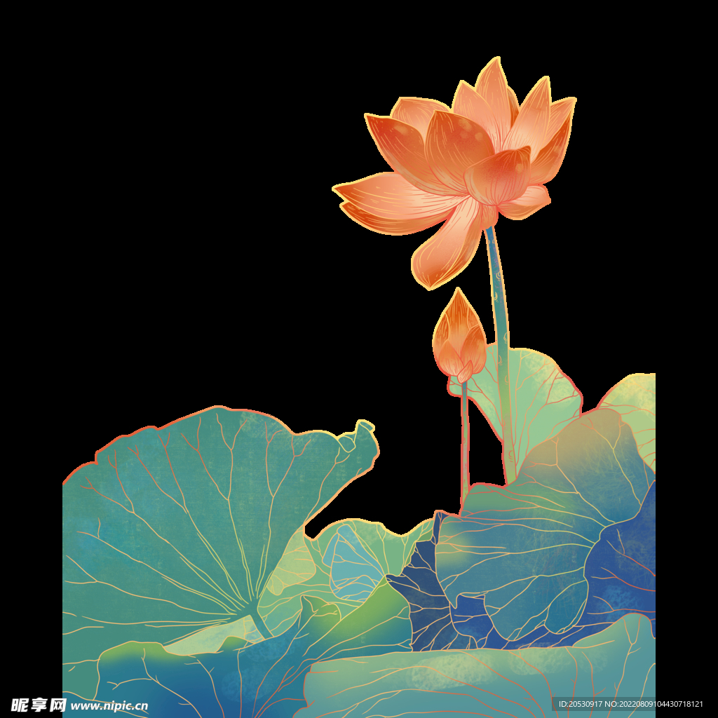 荷花元素