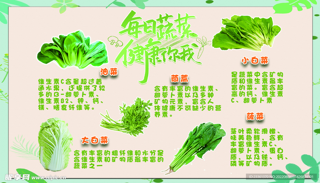 蔬菜 