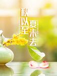 你好秋天 