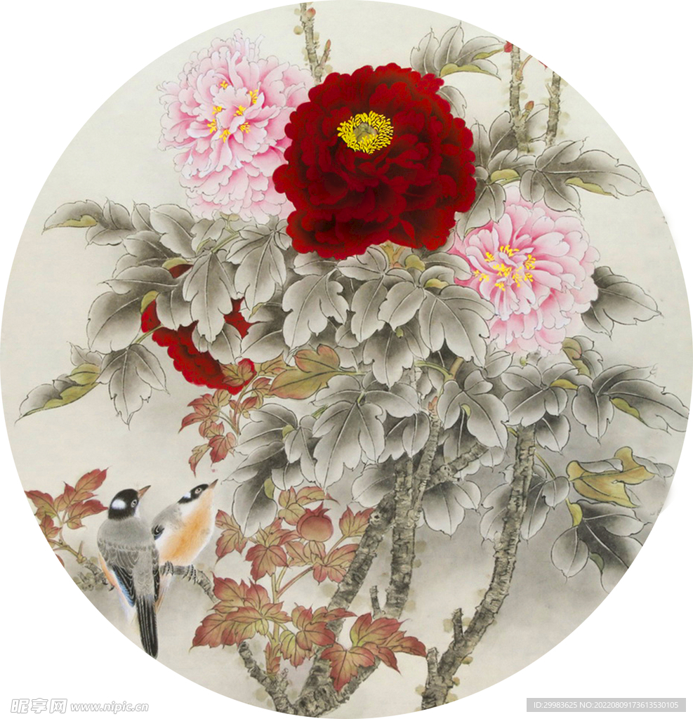 牡丹花