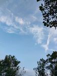 公园的天空