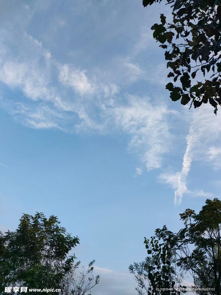 公园的天空
