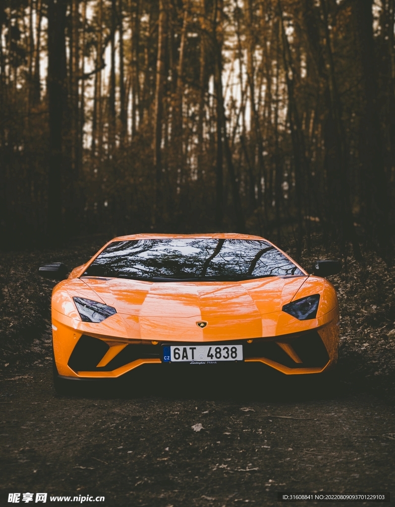 森林中的豪车