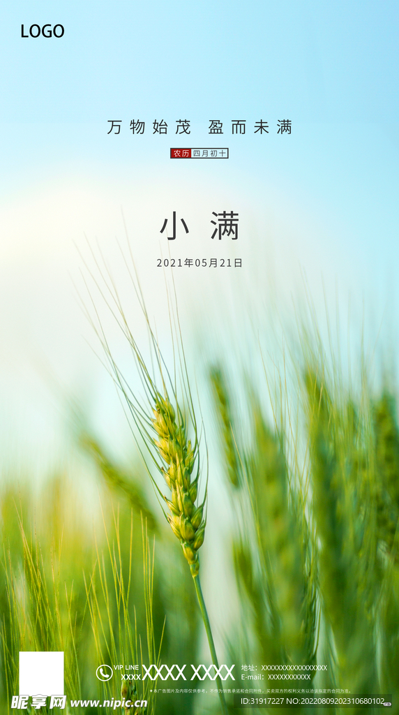小满节气海报