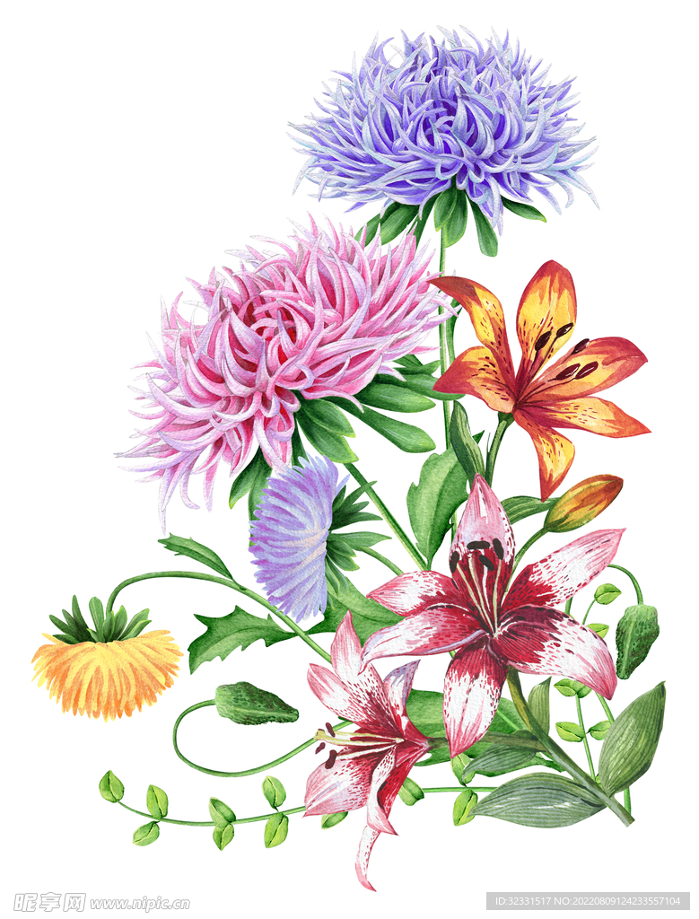 手绘花