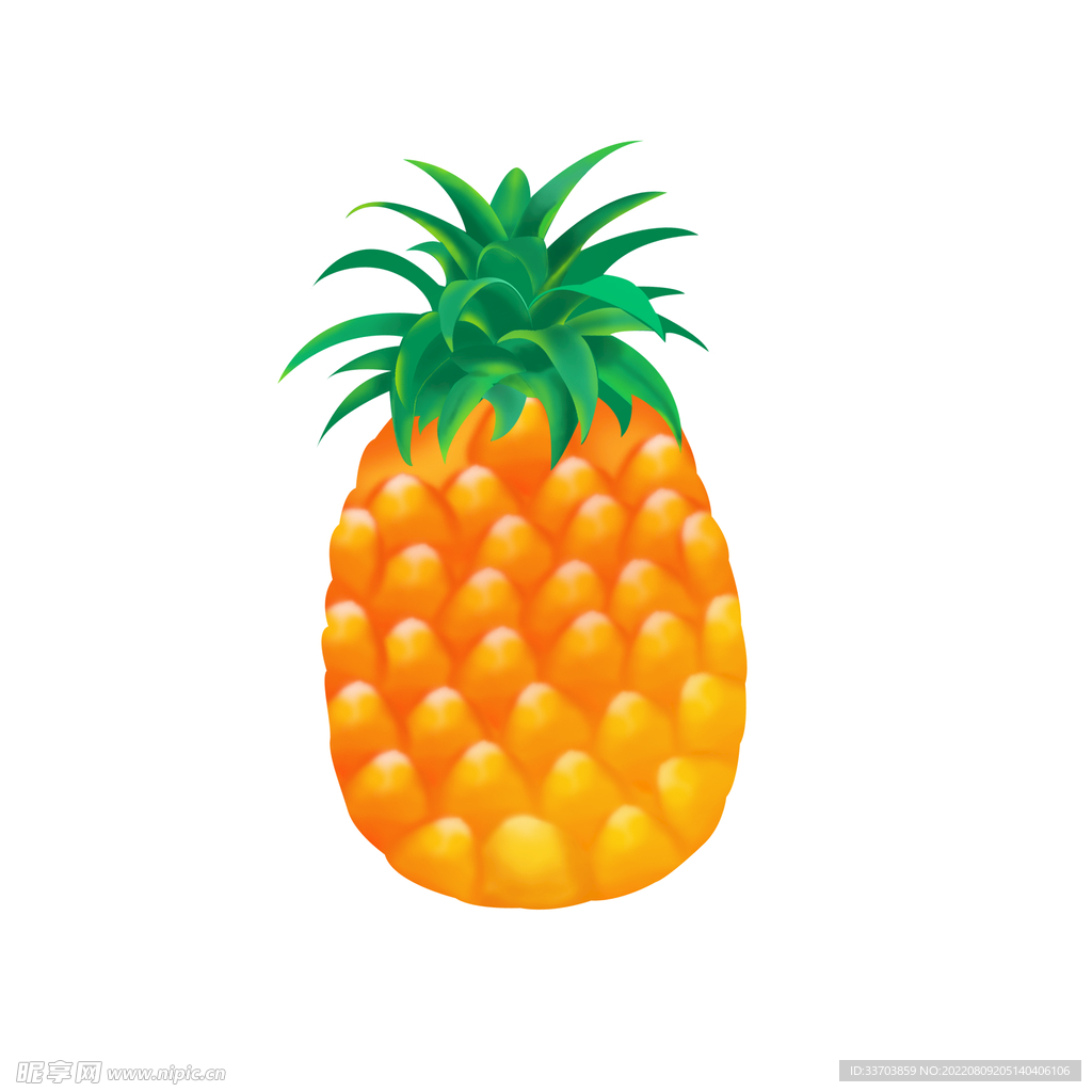 手绘水果菠萝