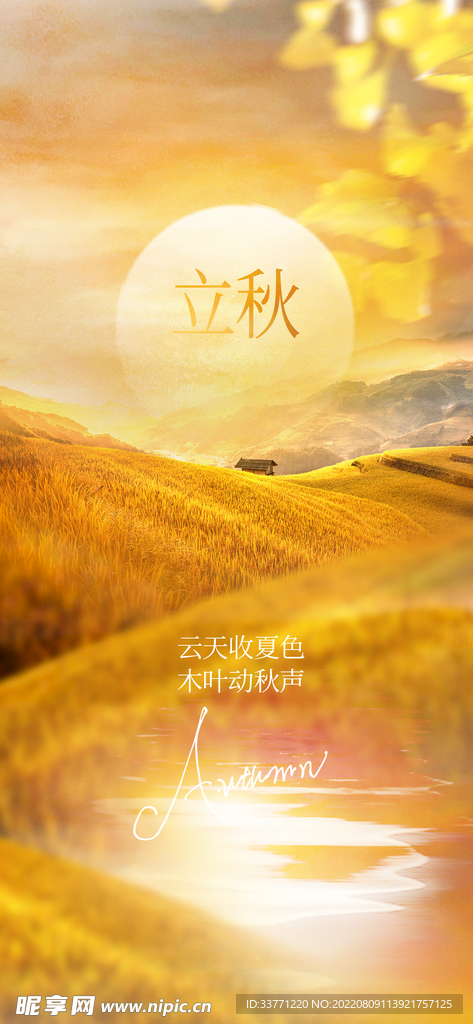 立秋海报