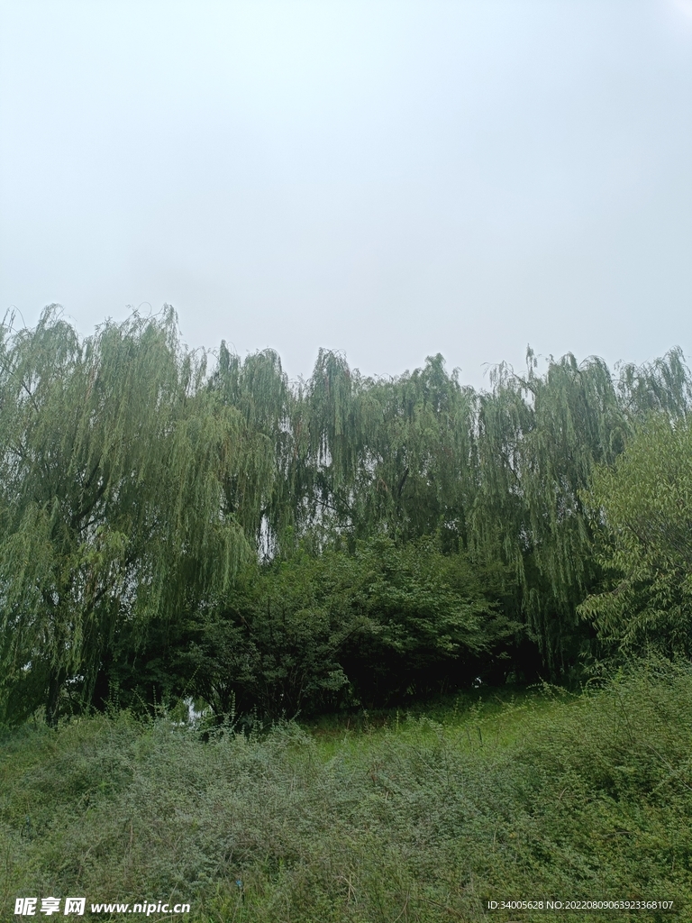 雨后天空