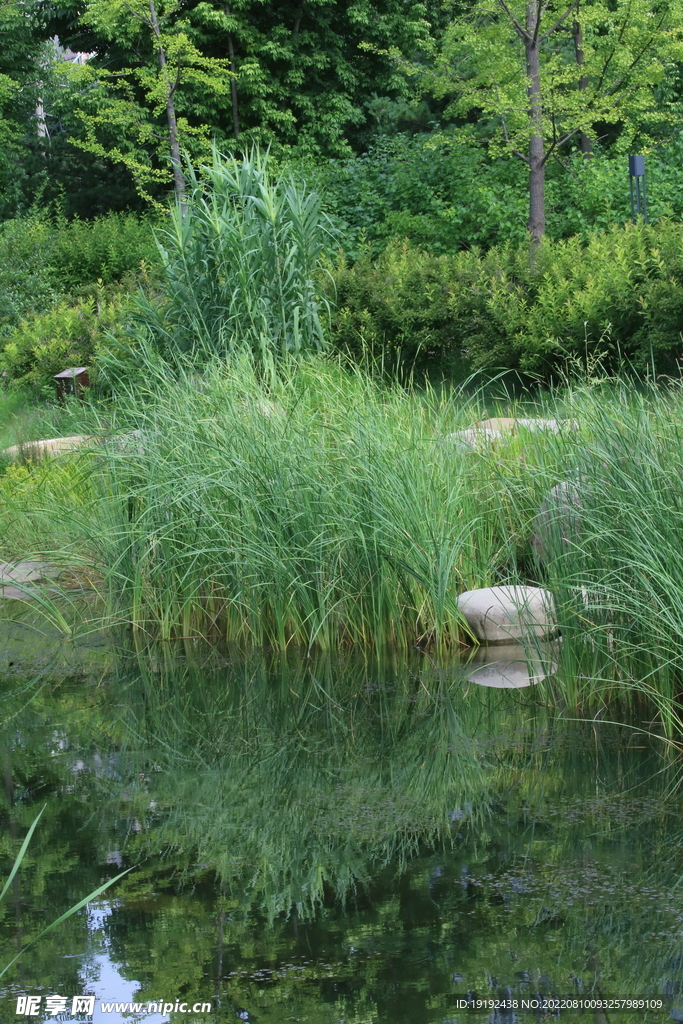 公园风景