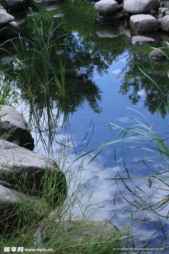 公园风景