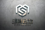 logo样机 标志样机 字体样