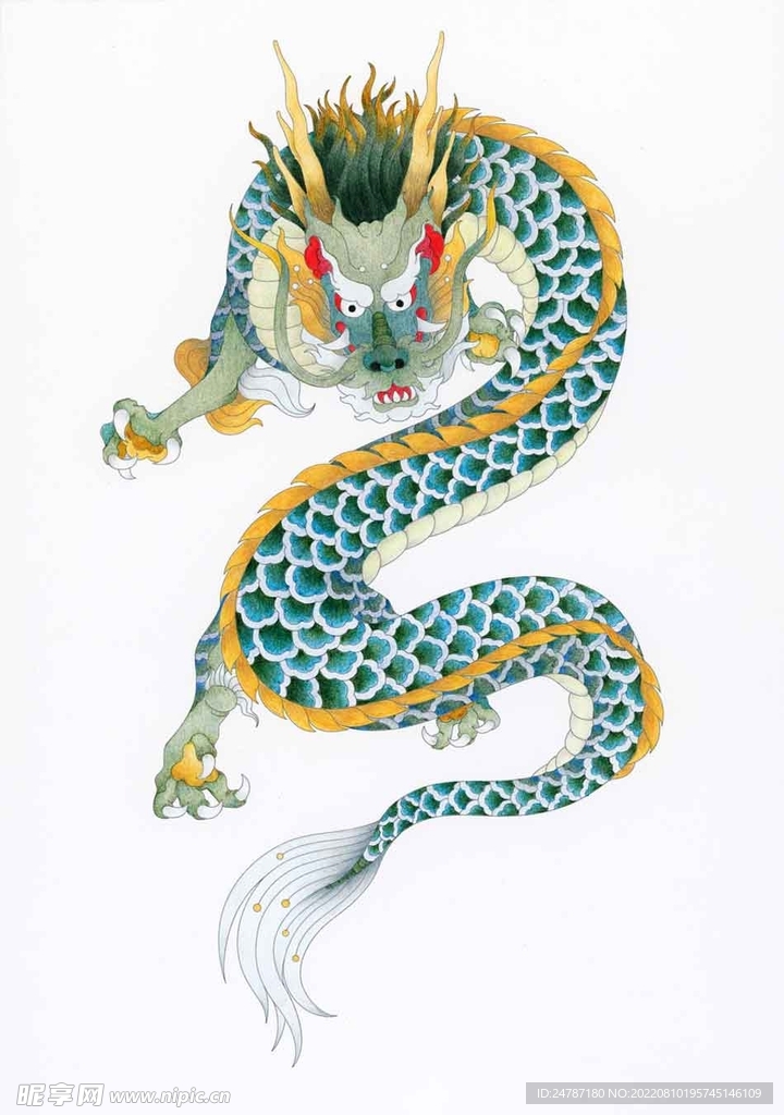 龙