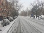 雪景