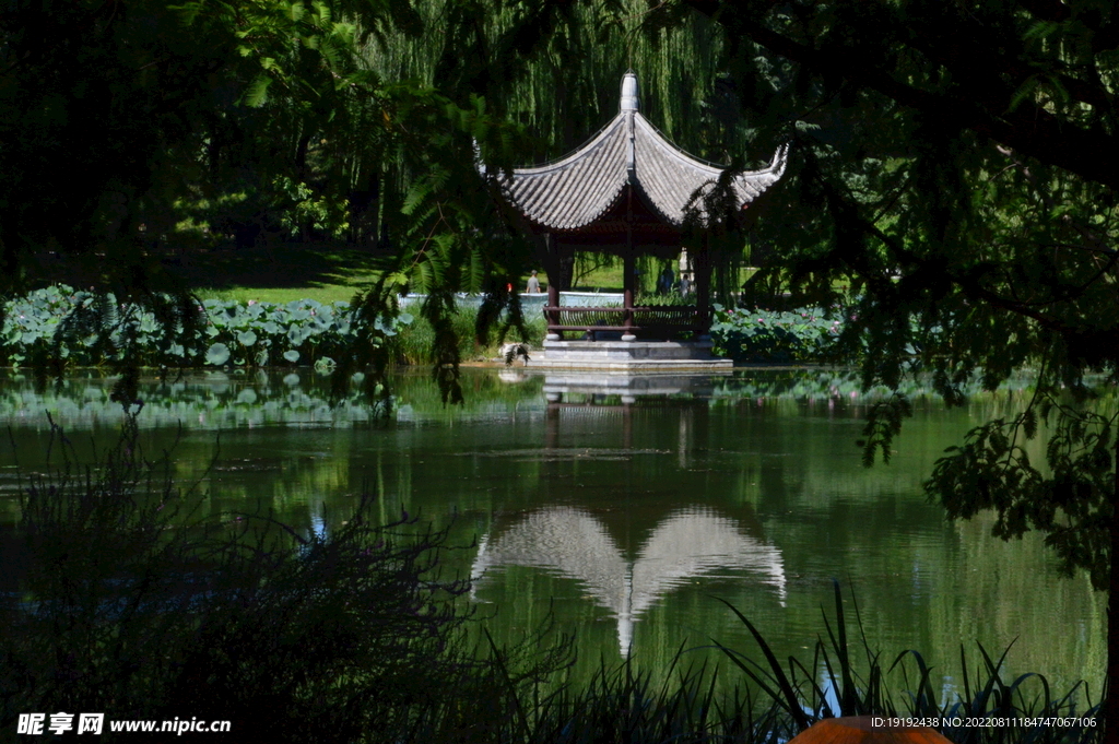 公园风景 