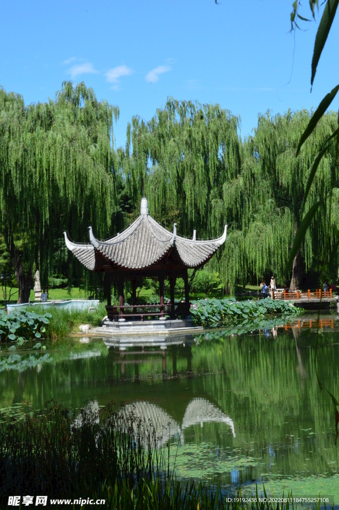 公园风景