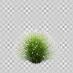 高清免扣植物