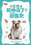 彩页 宣传单 宠物店 柯基犬 