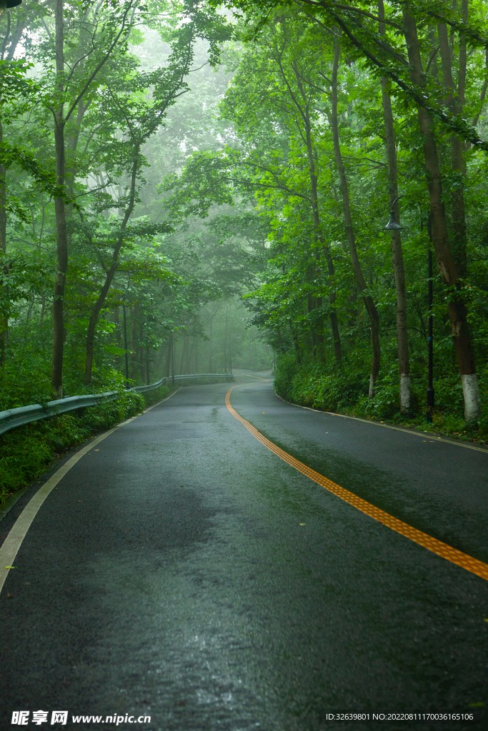 林间公路