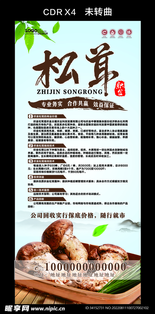 松茸展架