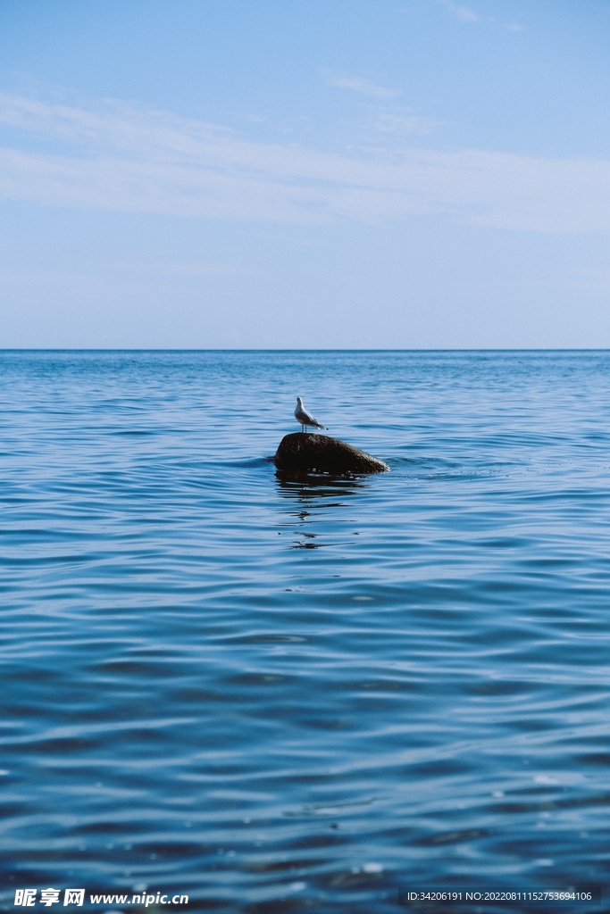 海