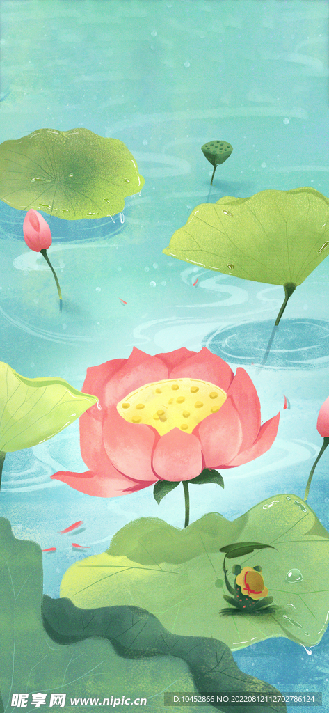 荷花