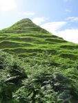 绿色仙峡谷