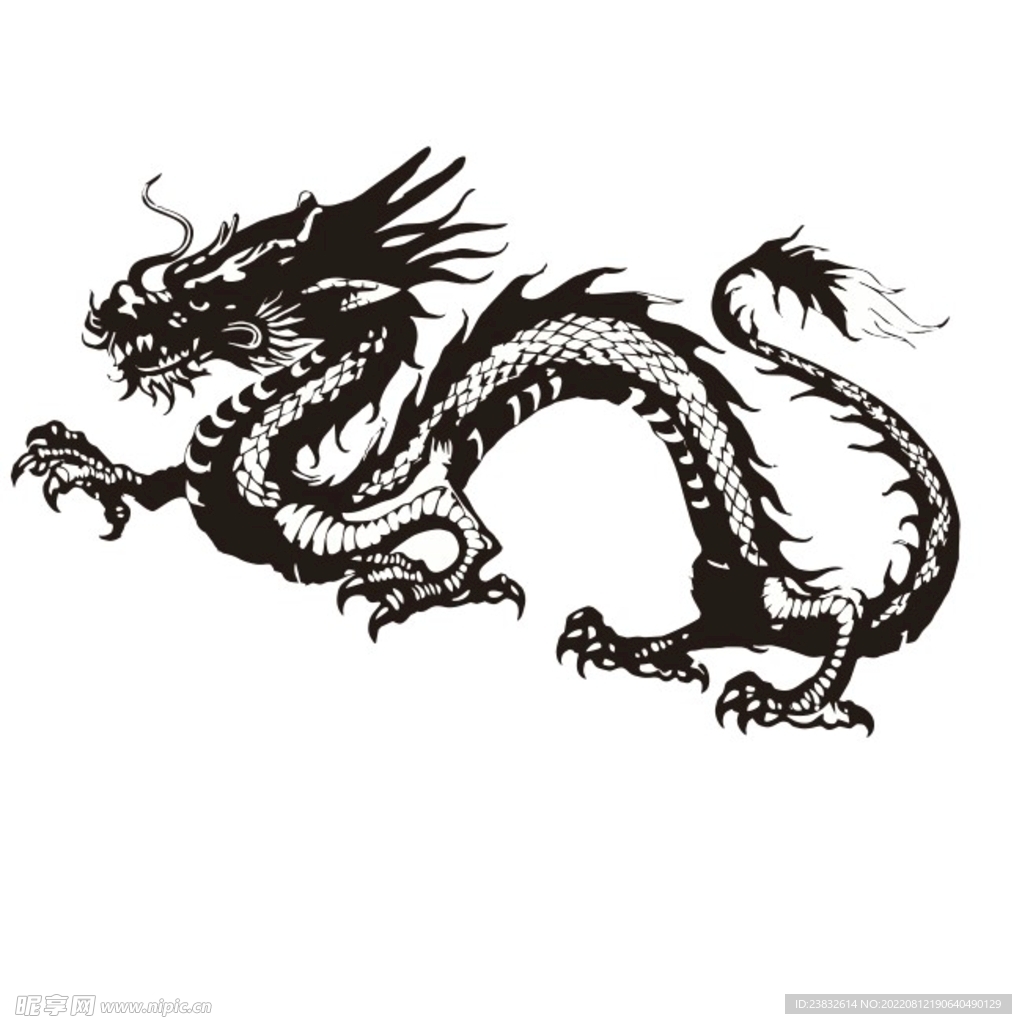龙